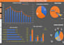 create excel dashboard and data visualization reports